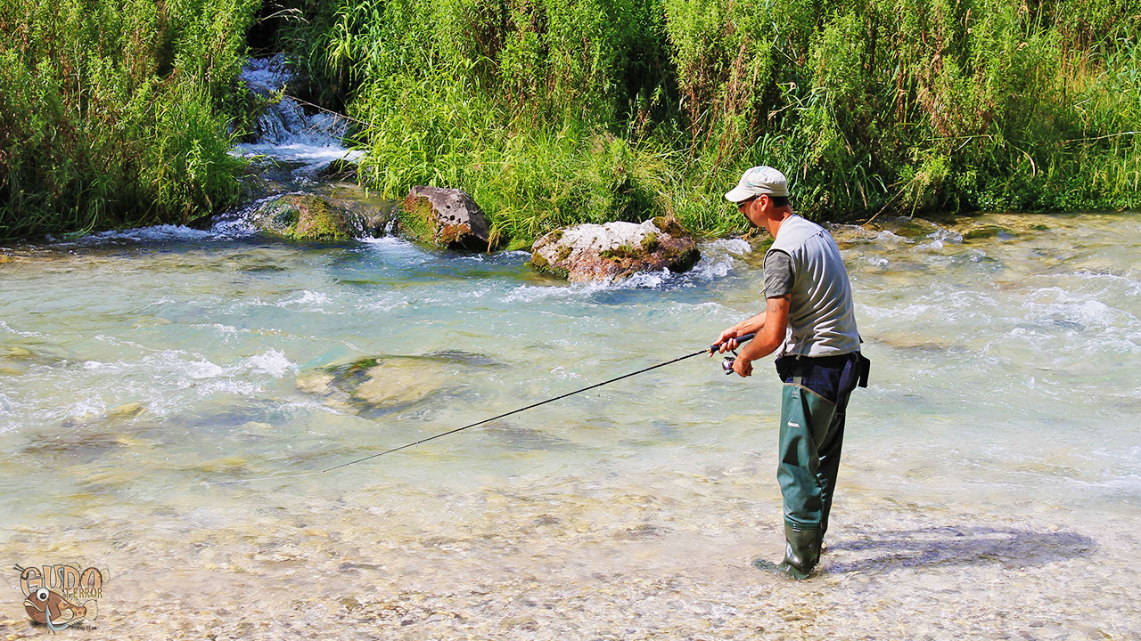 spinning trota torrente e vacanze di pesca in Trentino